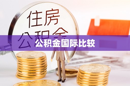 士林公积金国际比较