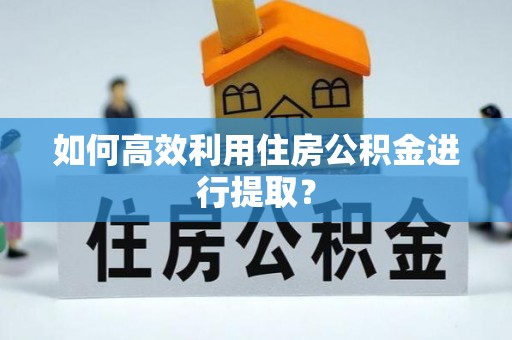 士林如何高效利用住房公积金进行提取？