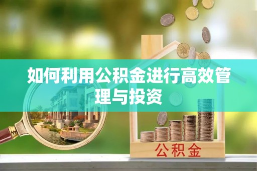 士林如何利用公积金进行高效管理与投资