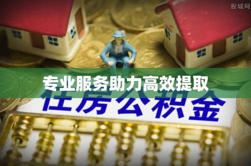 士林专业服务助力高效提取