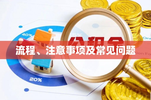士林流程、注意事项及常见问题