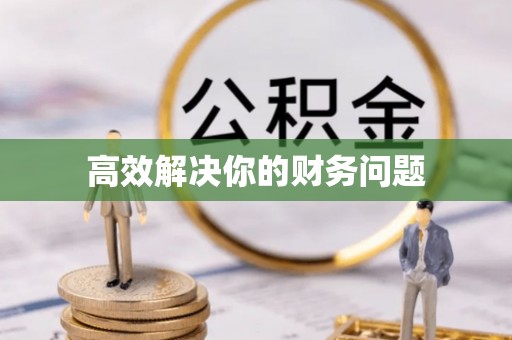 士林高效解决你的财务问题