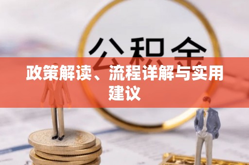 士林政策解读、流程详解与实用建议