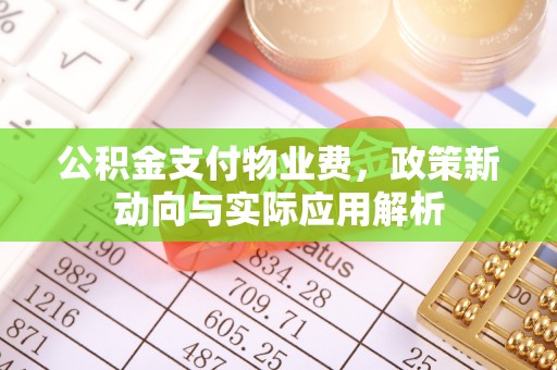 士林公积金支付物业费，政策新动向与实际应用解析