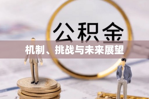 士林机制、挑战与未来展望