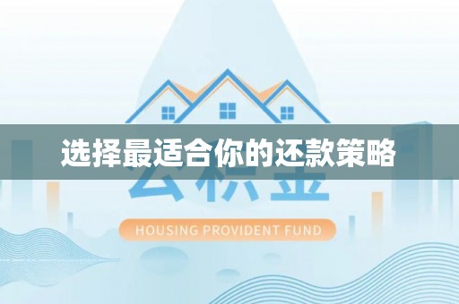 士林选择最适合你的还款策略