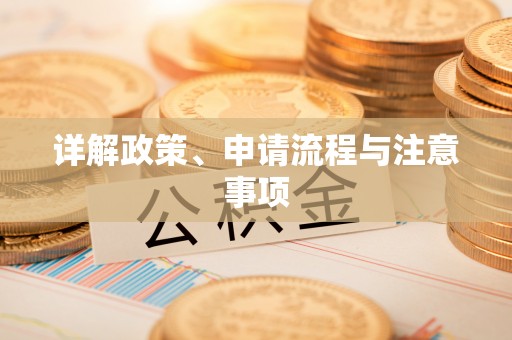 士林详解政策、申请流程与注意事项