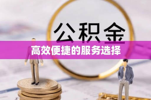 士林高效便捷的服务选择