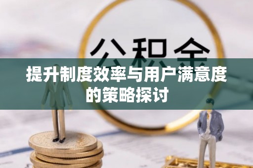 士林提升制度效率与用户满意度的策略探讨