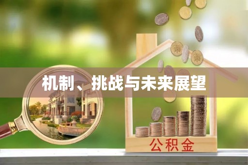 士林机制、挑战与未来展望